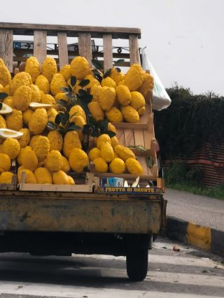 🍋 Cedro. Není to citron – je to jeho voňavější a sladší italská sestra. Roste jen na jihu Itálie, kde má slunce 300 dní v...